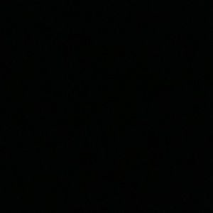 Meet your Posher, Ivery